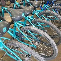 The Bike Station Bike Rentals